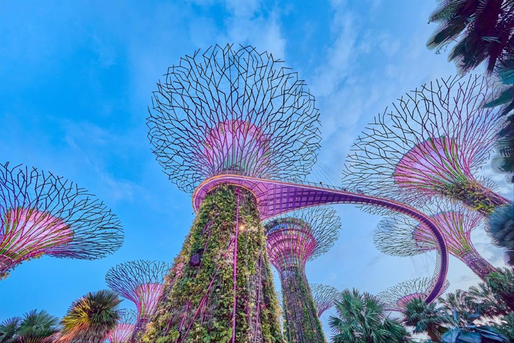 Singapore Bali Contrasting Experience